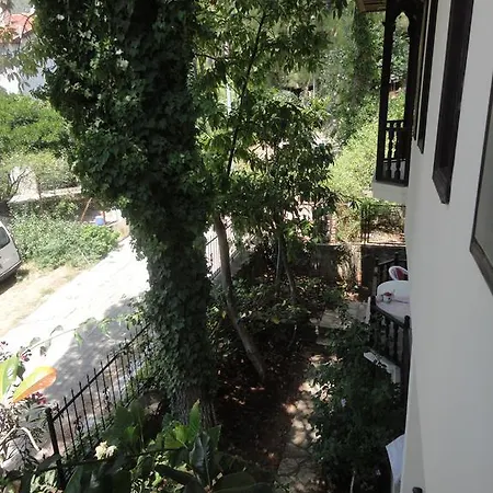 Cicek * Akyaka (Mugla)